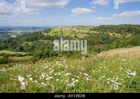 Die Cotswold Scarp im Crickley Hill Country Park von Barrow Wake, Gloucestershire UK aus gesehen Stockfoto