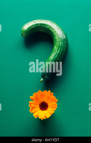 Collage aus Fragezeichen mit Gurke und gelbe Gerbera Blume auf grünem Hintergrund Stockfoto