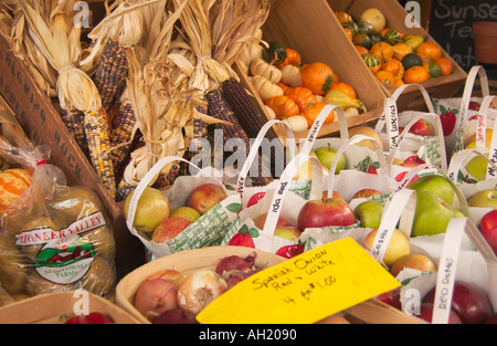 Lebendige Präsentation von frischem Obst, einschließlich Äpfeln, Orangen, Bananen und mehr, auf einem Markt im Freien in den USA. Stockfoto