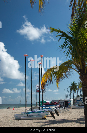 Reihe von Segelbooten aufgereiht am Strand am sonnigen Tag in Fort Lauderdale Florida USA Stockfoto