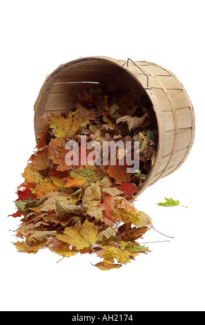 Korb mit Blätter auf weißem Hintergrund abhebt umgekippt Stockfoto