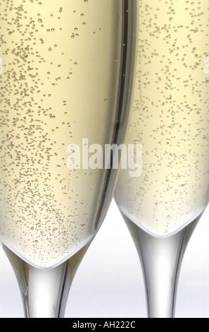 Nahaufnahme von zwei Gläser Champagner Silhouette auf weißem Hintergrund Stockfoto