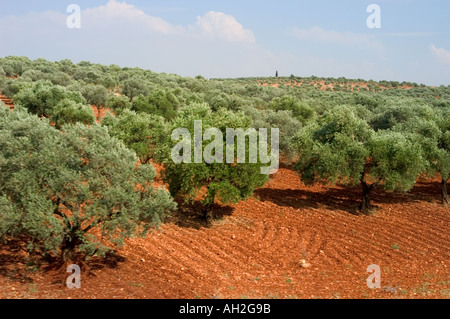 Landschaft vom Zug zwischen Aleppo und Latakia Syrien Naher Osten Stockfoto