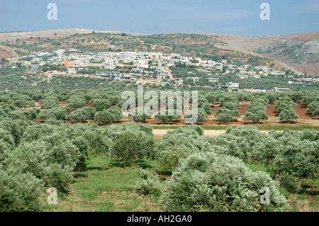 Landschaft vom Zug zwischen Aleppo und Latakia Syrien Naher Osten Stockfoto