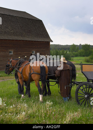 Ukrainische Kulturzentrum Alberta Kanada Stockfoto