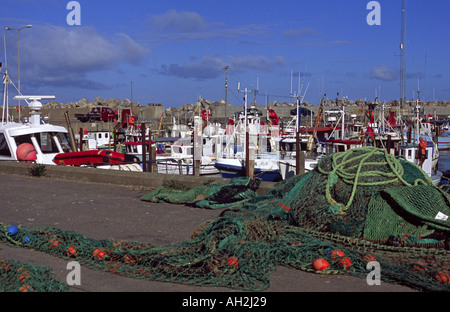 Angelboote/Fischerboote und Netze in Hirtshals Hafen Dänemark Stockfoto