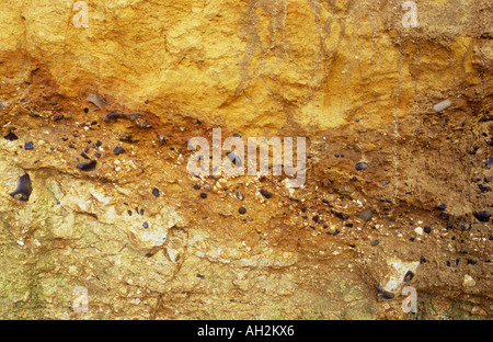 Detail der Felswand am Weybourne North Norfolk England zeigt Schichten der glazialen Kreide Feuerstein Schale Sand und Kies Stockfoto