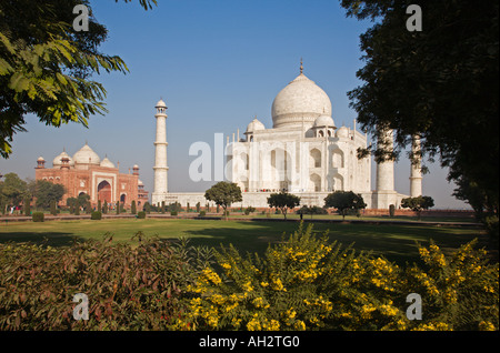 Taj Mahal das Grab von Mumtaz Mahal in Agra Indien Stockfoto