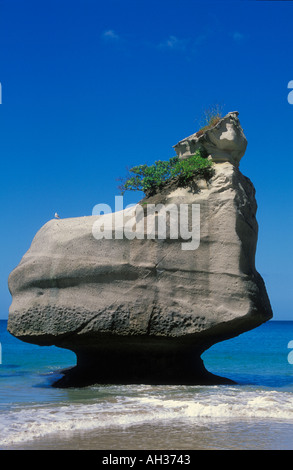 Felsnadel an der Cathedral Cove in der Nähe von Hahei Whitianga auf der Halbinsel Coromandel North Island New Zealand Stockfoto