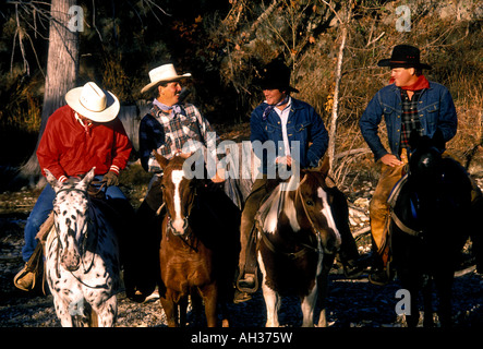 Cowboys auf dem Rücken der Pferde, Cowboys, Reiten, Reitpferde, Hill Country, Stadt der Bandera, Bandera, Bandera, County, Texas, USA, Nordamerika Stockfoto