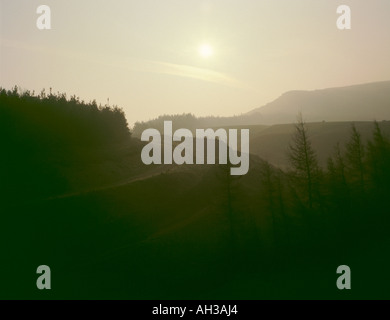 Misty Morning Blick auf die Spur, die bis zu den Mauren; in der Nähe von ingleby greenhow, North York Moors, North Yorkshire, England, UK. Stockfoto