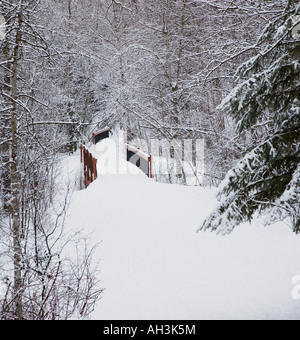 Schnee auf einer Brücke im Wald Stockfoto