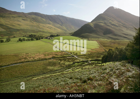 Blick vom Buttermere fiel über das Buttermere-Tal in Richtung Fleetwith Hecht und Dale Head, Lake District, England. Stockfoto