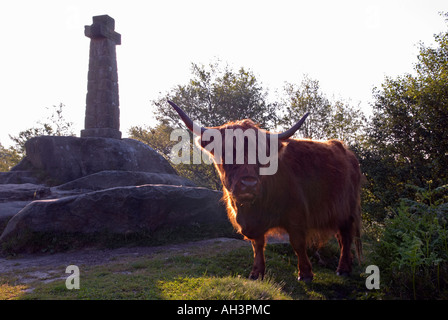 "Wellington Monument" auf Baslow Rand und Highland-Rinder in Derbyshire "Great Britain" Stockfoto