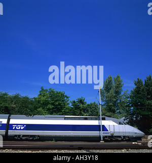 TGV-Hochgeschwindigkeitszug Frankreich Europa Stockfoto