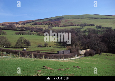 GIGRIN FARM RED KITE FUTTERSTELLE IN DER NÄHE VON RHAYADER IN POWYS, MITTE WALES, GROßBRITANNIEN Stockfoto