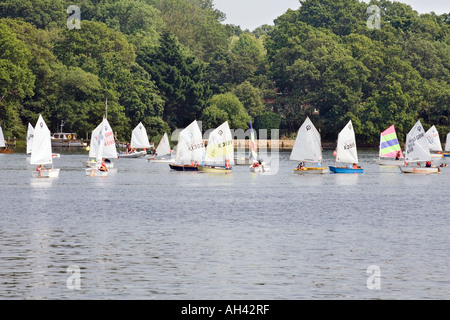 Kinder lernen in Oppy (Optimist) Jolle Segeln Boot im Fluss Stockfoto