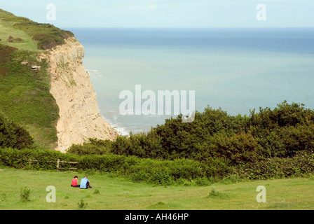 Blick auf Klippen und Meer in Hastings Country Park Hastings East Sussex England UK Stockfoto