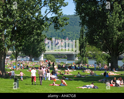 Blick vom Neckar Fluss auf das Heidelberger Schloss Blick Auf Heidelberg Und Schloss Stockfoto