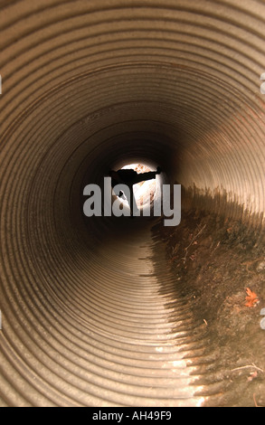 Jungen 10-12 Jahre spielt im Drainagerohr USA Stockfoto