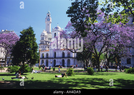 Das Cabildo und Uhrturm am Plaza de Mayo mit Jacaranda-Bäume in Buenos Aires Stockfoto