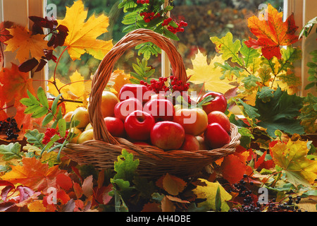 Äpfel und Blätter des Herbstes in Tischgesteck Stockfoto