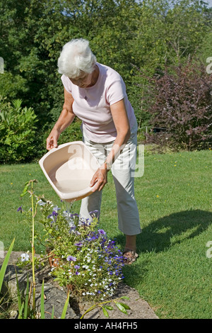 Frau mit Abfall Abwasch zu Wasser Pflanzen im Garten Cotswolds UK Stockfoto