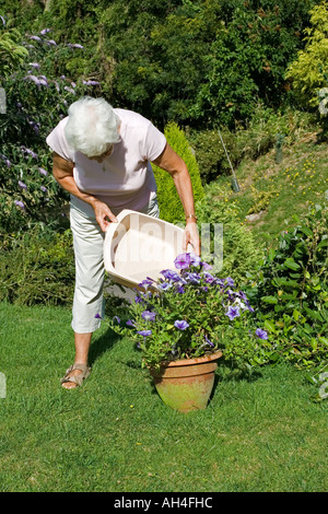 Frau mit Abfall Abwasch zu Wasser Pflanzen im Garten Cotswolds UK Stockfoto