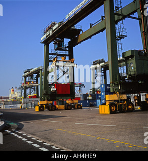 Krane und Container Hafen Felixstowe Suffolk England Stockfoto