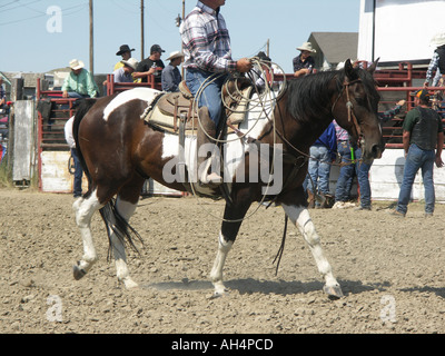 Cowboy mit seinem Lasso Stockfoto