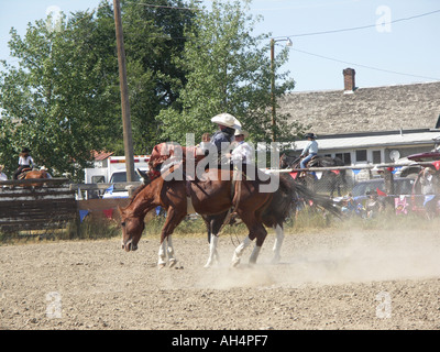 Unruhiges Wildpferd Stockfoto