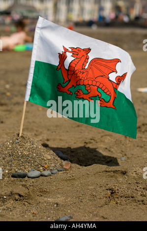 Y Ddraig Goch Red Dragon kleine walisische Flagge in Sand Aberystwyth Strand und der Promenade Sommernachmittag Stockfoto