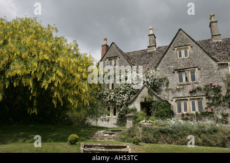 Ein altes Bauernhaus in der Cotswold-Dorf Calmsden mit Pflanzen klettern auf Wand und einem Goldregen Baum in voller Blüte Stockfoto