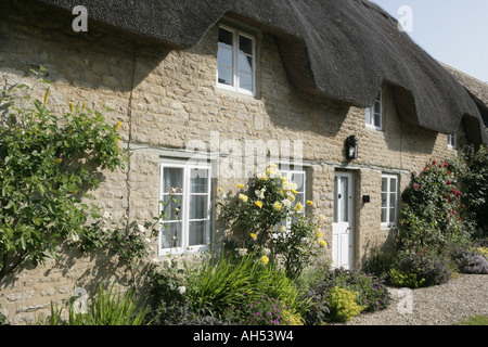 Eine strohgedeckte Hütte mit Rose um Tür in Cotswold Dorf der Minster Lovell Stockfoto