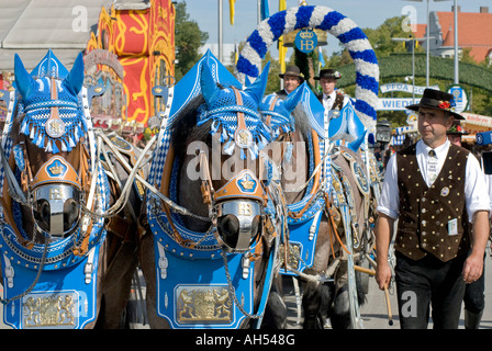Geschmückten Wagen Pferde bei der Eröffnung Parade der Münchner Oktoberfest, Deutschland Stockfoto