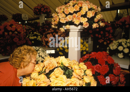 Chelsea Flower Show London 1980er Jahre.UK Frau riecht den Duft aus Eine Rosenanzeige 1984 HOMER SYKES Stockfoto