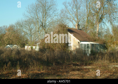 Essex überwuchert vernachlässigte redundante Cottage in ländlicher Lage warten auf Abbruch und Sanierung Stockfoto