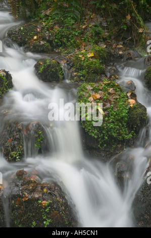 Detail von einem Stream umströmenden rockt Canonteign fällt Dartmoor National Park Devon Great Britain Stockfoto