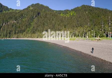 Ein Strand auf Fox Island Resurrection Bay in der Nähe von Seward Kenai-Halbinsel Alaska USA Stockfoto