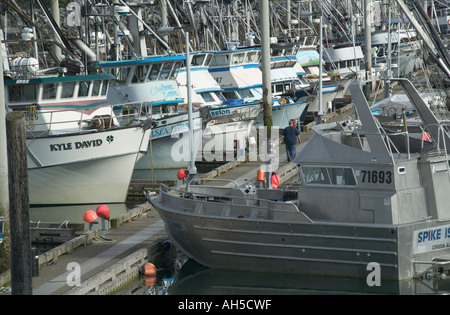 Angelboote/Fischerboote vor Anker in einer Linie Cordova Prinz-William-Sund Alaska USA Stockfoto