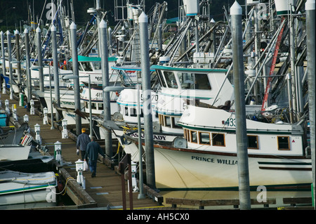 Angelboote/Fischerboote vor Anker in einer Linie Cordova Prinz-William-Sund Alaska USA Stockfoto