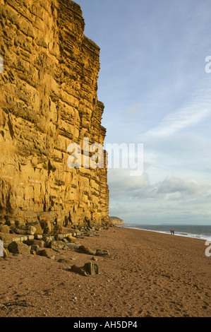 Klippen und Strand von West Bay nr Bridport Dorset Great Britain Stockfoto