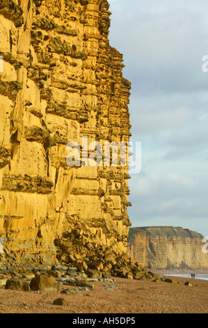 Klippen und Strand von West Bay nr Bridport Dorset Great Britain Stockfoto