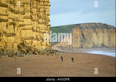 Klippen und Strand von West Bay nr Bridport Dorset Great Britain Stockfoto