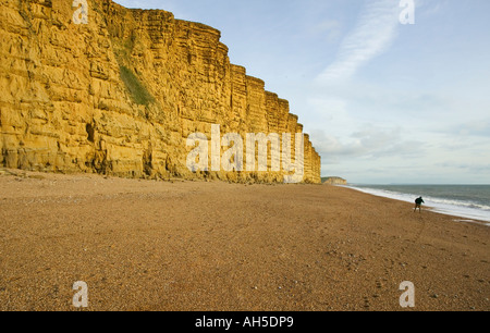 Klippen und Strand von West Bay nr Bridport Dorset Great Britain Stockfoto