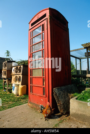 Cheshire Stockport Woodford Kneipen K6 rote Telefonzelle zur Speicherung von Vogelfutter in Davenport Armen Stockfoto