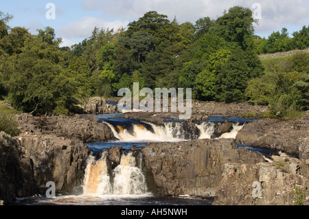 Low-Force ist eine malerische Wasserfälle auf dem River Tees in der Nähe von Middleton in Teesdale in den North Pennines, County Durham Stockfoto