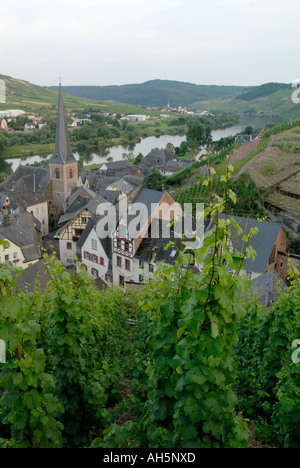 Die kleine Stadt Ürzig (Urzig) im Westen Deutschlands, nahe der Grenze zu Luxemburg. Stockfoto