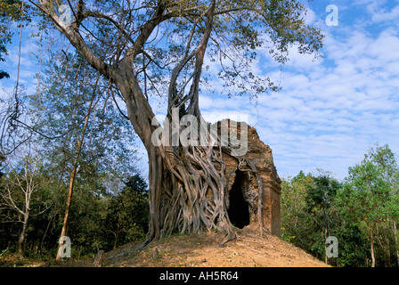 Pre Ankorian Website von Sambor Prei Kuk Prasat Trapeang Ropaeak komplexe Kompong Thom Kambodscha Indochina Südost-Asien Asien Stockfoto