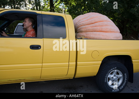 Riesen-Kürbis wiegen Pumpkinfest 2007 Cooperstown New Yorker Stockfoto